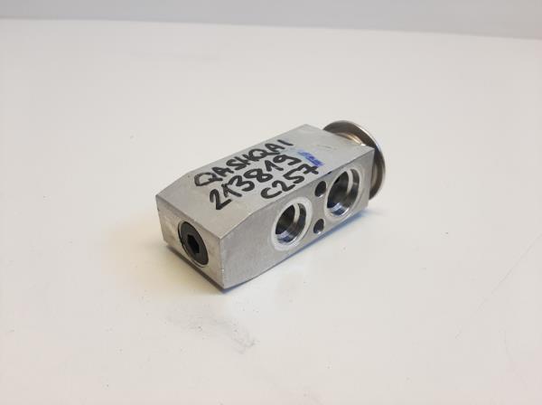 Nissan Qashqai expanzi�s szelep  foto